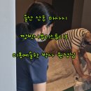 짱박사뷰티스튜디오 | 울산 중구 산후 마사지 미용예술학 박사 짱박사뷰티스튜디오 이용 후기