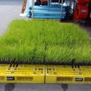 현대농자재마트 이미지