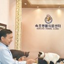 조광동물병원 이미지