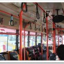 원주굽이길 2코스 700년 노송길 이미지