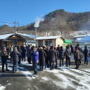 도내흑염소 이미지