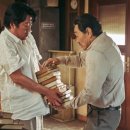 최신영화 모가디슈 이미지