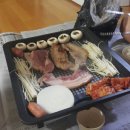 멍멍이냥 이미지