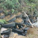 가야곡면사무소 이미지