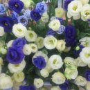 서원동-1 이미지