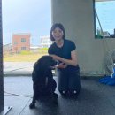 코스트크린 | 크린이 크로스핏 투어 - 제주 바다를 보며 하는 크로스핏! 웨스트 코스트 트레이닝 드랍인 후기