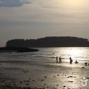 무창포해수욕장오토캠핑장 이미지