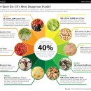 고요산책 이미지