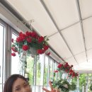 dear hair(디어헤어) 이미지