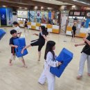 용인대미르태권도 이미지