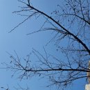 아랫배랭이로 이미지