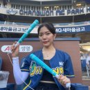 ABL생명 | 창원 엔씨파크 ABL 생명 프리미엄석 후기