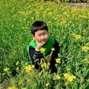 숲속성광유치원 이미지