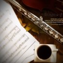 플룻 (연주자) 이미지