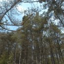 하은민박 이미지