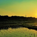 전원풍경 이미지