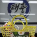 용인대 태풍 태권도장 이미지