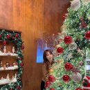 (주)테라스파이브 이미지