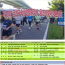 11545-04-11-15 | [공지] 금천사랑 마라톤대회 개최 접수 방법 총정리