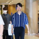 엔 티브이데일리