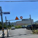 태화반점타이짬뽕 | 창원 남양동 짬뽕 맛집 클로렐라면 태화반점 타이짬뽕