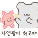 썬베이커리카페