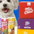 댕댕이연구소 이미지