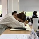 세븐일레븐 광주치평3호점 | 블챌체크인챌린지