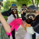 폭포산장펜션 이미지