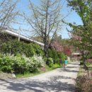 맹골마을 이미지