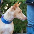 우성동물병원 이미지