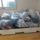 세종와이에이치 이미지