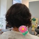 쿠지헤어 이미지