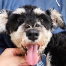 세림동물약국 이미지