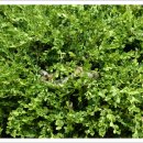 북후초등학교 이미지