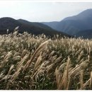 산월목장 이미지