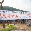 선광사 이미지