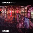 아르떼뮤지엄부산 이미지