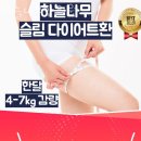 송파구 신천동 한의원 하늘나무한의원 진료시간 접근성 이용후기
