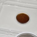 눈꽃초밥 이미지