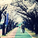 창원대로 이미지