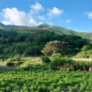 와리경로당 이미지