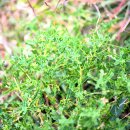 기산초등학교 이미지