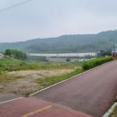 용암천1 이미지