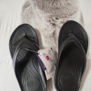 b오M | B&amp;M 슈퍼 Y 슬리퍼 – 러너에게 꼭 필요한 데일리 슬리퍼