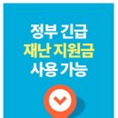 송정 복싱 네이버블로그