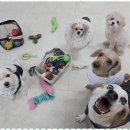 시화유치원 이미지