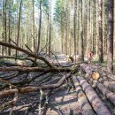 후계자축산 이미지