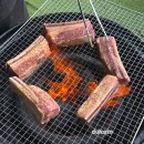 가평 썬 캠핑장 | 가평 카라반 애견동반가능한 올덴카라반캠핑장 후기