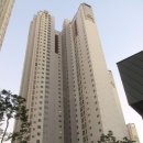 THE힘찬동물병원 이미지